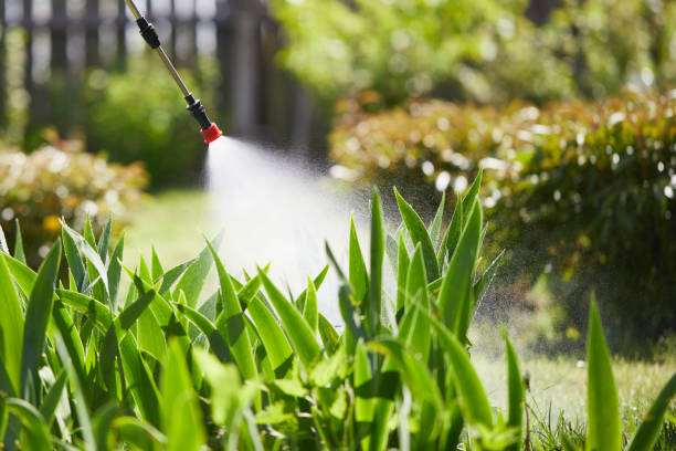 24/7 Emergency Termite Control experts in Port Orange, FL