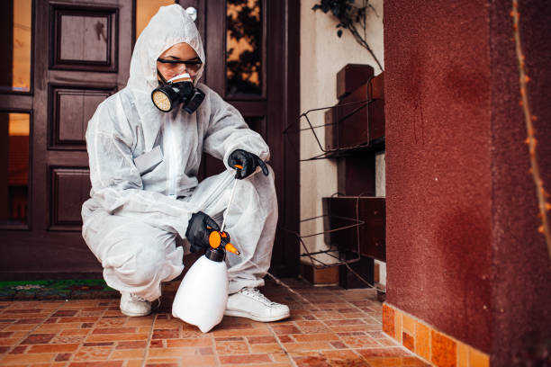 Reliable Termite Control contractor in Port Orange, FL by Nex Pest Control