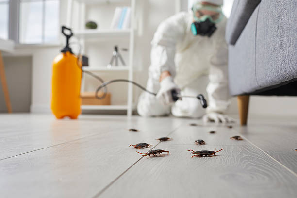 Trusted Termite Control service in Port Orange, FL - Nex Pest Control