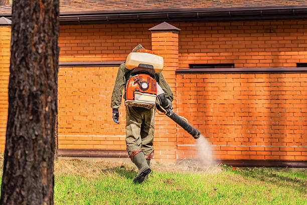 Trusted Rodent Control service in Port Orange, FL - Nex Pest Control